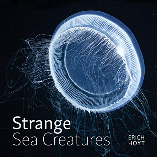 Strange Sea Creatures Hardcover – October 10, 2020