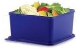 Tupperware Kare Saklama Kabi 5 Lİtre