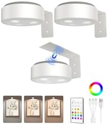EZVALO Picture Lights for Wall, 2000mAh Rechargeable Battery Magnetic Poster Lights with 3 Color Temps & 12 RGB, Remote Dimmable Timer Painting Light, Wall Decor Light for Art Display, Frame 3 Pack