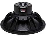 B&C 15SW115 15" Professional Neodymium Subwoofer 8 Ohm