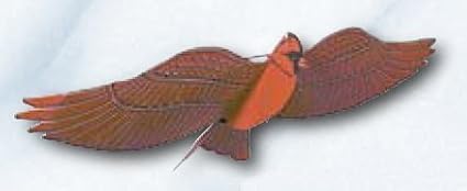 Assembled Cardinal Bird Kite, Wind Sock