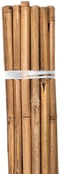 Plant Stakes, Natural Bamboo, 2 Foot, 25 Stakes