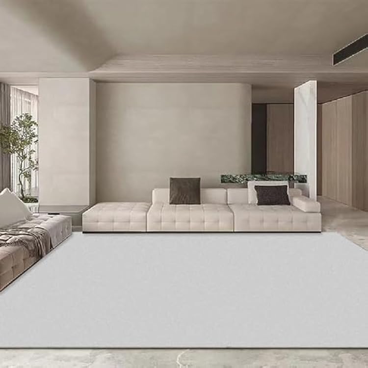 Area Rugs, Non-Slip Modern Rugs for Living Room, Soft Bedroom Rugs for Guest Room Study Room Dorm Rugs Laundry Room Washable Rugs