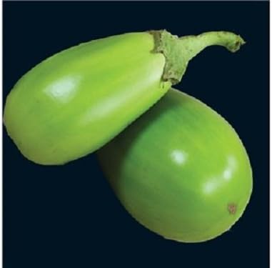 25 APPLEGREEN Eggplant Green Fruit/Vegetable Solanum Melongena Seeds