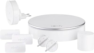 somfy Home Alarm, The Home Security.