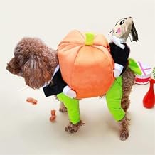 BlueSpace Pet Costume Dog Cat Pumpkin Pets Suit Halloween Costumes Pets Clothing for Small Dogs and Cats, Perfect for Halloween Christmas and Theme Party, M