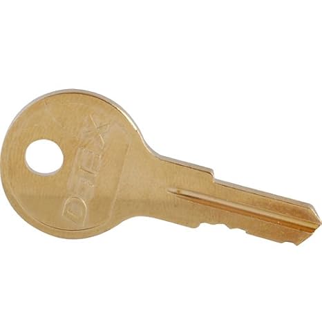 DETEX Corporation Emergency Exit Alarm Cover Cylinder Lock Keys DT019