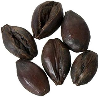 Malt - Briess Black Roasted Barley - 1 LB