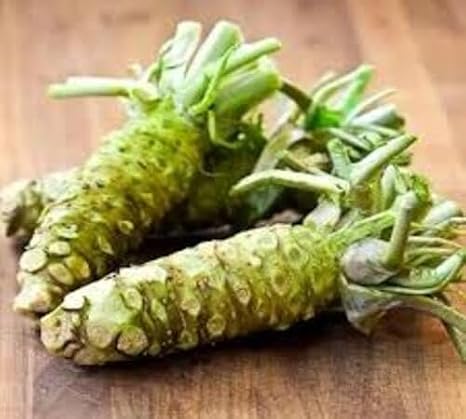 100pcs Green Wasabi Vegetable Seeds