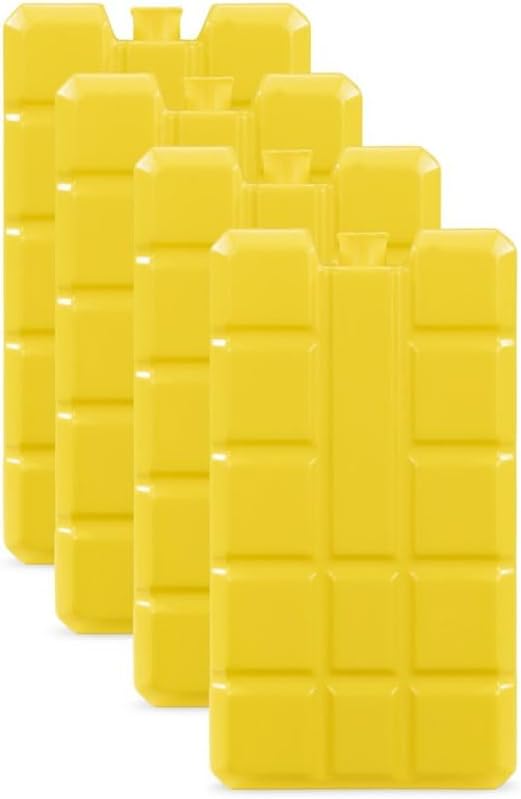 Xavax Ice Blocks, Set of 4, 200 ML Each