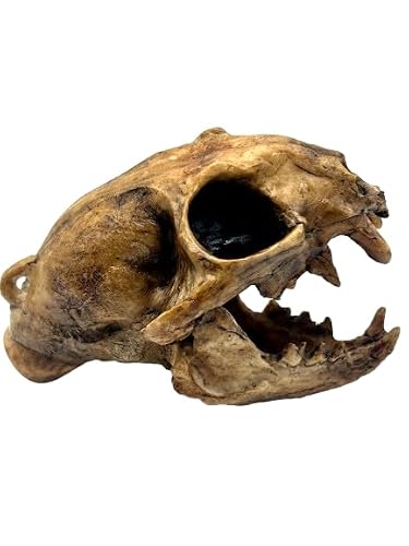 Aztec Death Whistle - Apex Predator
