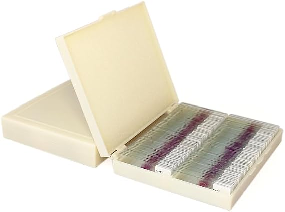 Histopathology Slides, Microscope Slides with Human Cell HE Stain Structural, Transparency, Uniform Dyeing, Clear Imaging, Human Pathological Tissue Sectioning Set, for Lab Biology Science Study