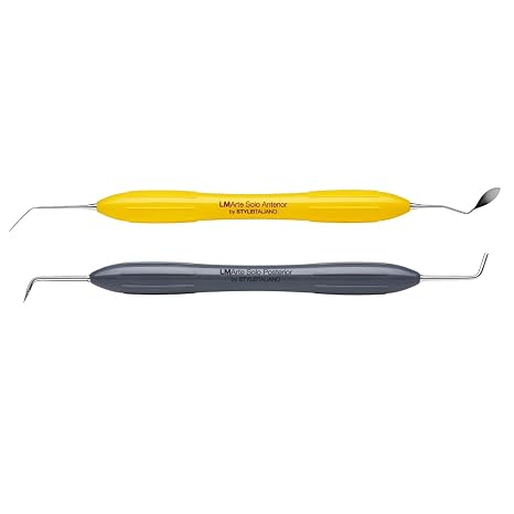 LM ARTE Series 2-Piece Composite Instrument Set
