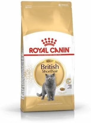 Royal Canin British Shorthair Adult Yetişkin Kedi Maması 2 Kg