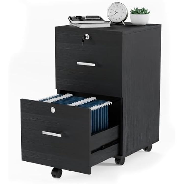 VINGLI 2-Drawer File Cabinet with Lock, Small Rolling Wood Filing Cabinet for Hanging Letter Size Filings with Tabs, Mobile Under Desk File Organizer for Home Office, Classic Black, 27.2 H