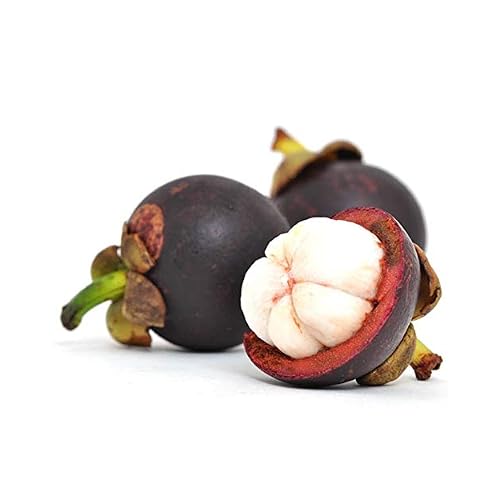 Fresh Mangosteen