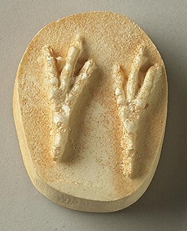 Blue Jay Track Replica