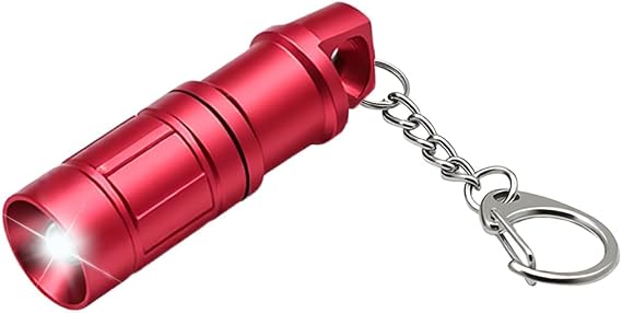e1 The World's Smallest Flashlight Micro Tiny Mini Keychain Light Long-Lasting Safety Light for Everyday Carry Emergencies Outdoor Dog Walking Hiking Camping Nice Gift for Parents and Kids