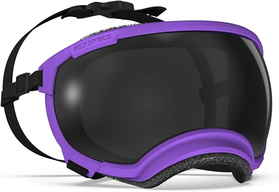 Rex Specs V2 Dog Goggles (X-Small, Pike Purple)