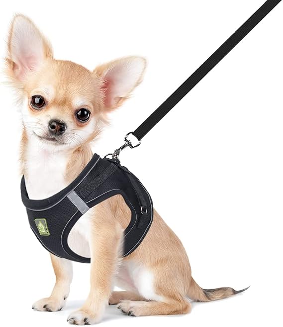 FEimaX Dog Harness and Leash Set for Small Medium Dog Cat No Pull Adjustable Soft Mesh Chihuahua Chest Harness Puppy Reflective Step-in Safety Vest for Outdoor Walking