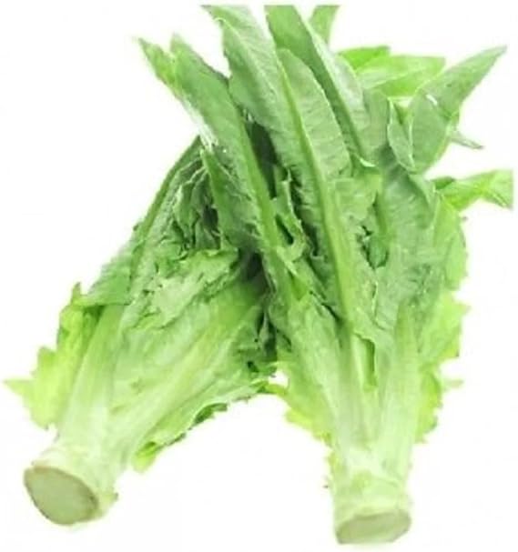 1/2-OZ 5000+ Seeds A-Choy/AA CAI Seeds, Taiwanese Sword Leaf Lettuce; Heirloom AA ; Great Autumn Crop