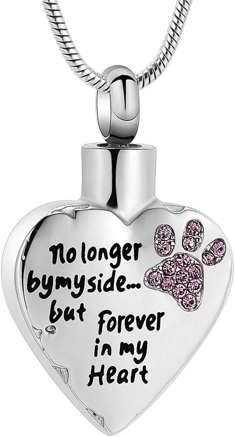 memorial jewelry No Longer by My Side,But Forever in My Heart Carved Locket Cremation Urn Necklace for Pet Dog Cats
