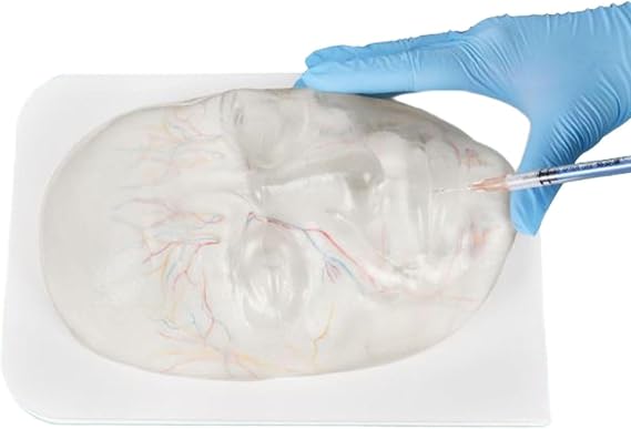 Injectable Facial Model,Transparent Injection Face Model with Blood Vessels for Micro Plastic Surgery Practice Cosmetic Injection Instruction
