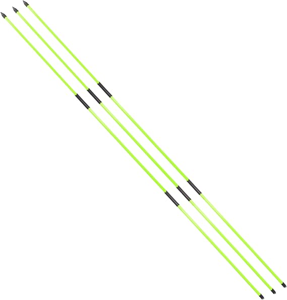 Golf Alignment Stick - Golf Sticks Alignment Aid 48" Golf Alignment Rods 2 Pack for Aiming, Putting, Full Swing Trainer, Posture Corrector Golf Training aid with Clear Tube Case