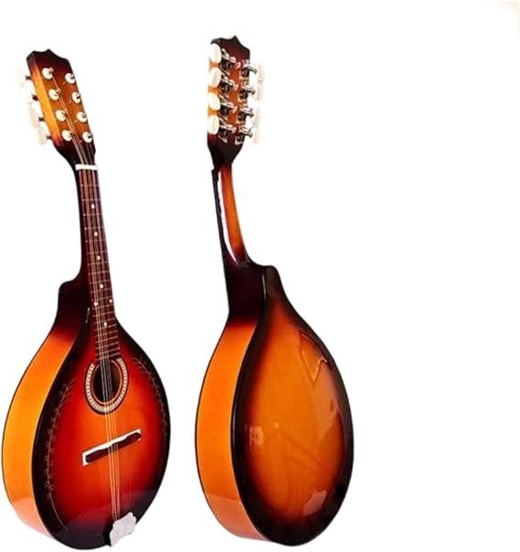 Mandolin For Beginners Mandolin Octave Soprano Beginner Adult Professional
