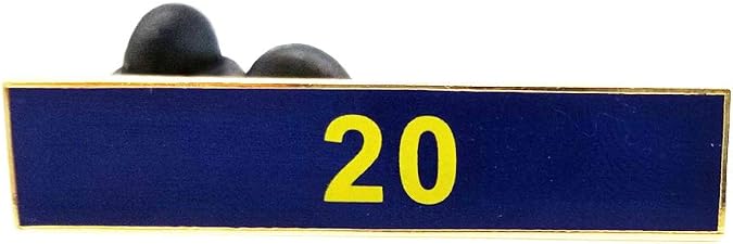 20 Years of Service Blue Citation Bar