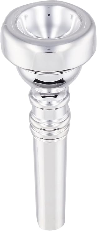 Vincent Bach Trombone Cleaning and Care Product (3493D)