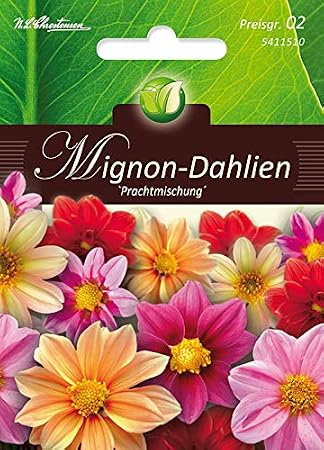 Dahlia Mignon Mix