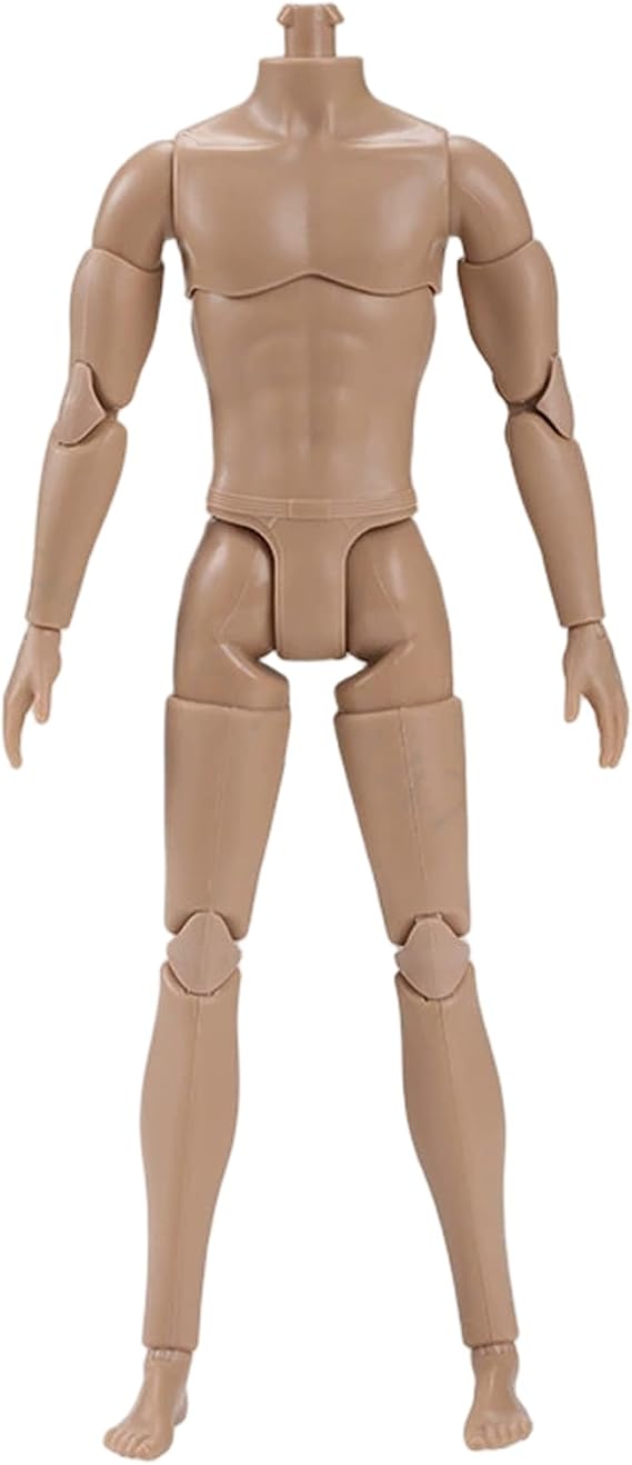 1/6 Scale Action Figure Multi Jointed Movable Male Muscular Action Figure Body for Display Doll Collection Medium 1/6 Scale Body Custom Figures.