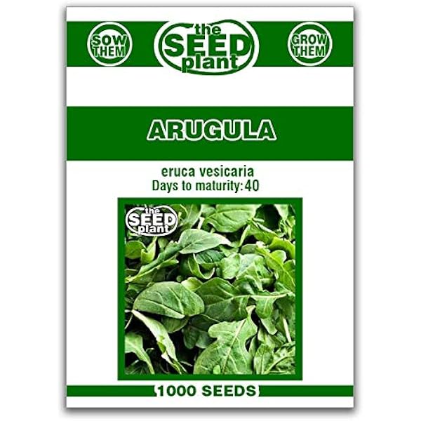 Arugula Seeds - 1000 Non-GMO Seeds