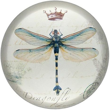 World Buyers Nature Under Glass Paperweights (Crowned Dragonfly)