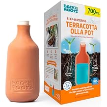 Back to the Roots Self-Watering Terracotta Olla Pot, 700mL Provides 1 Week of Precision Watering
