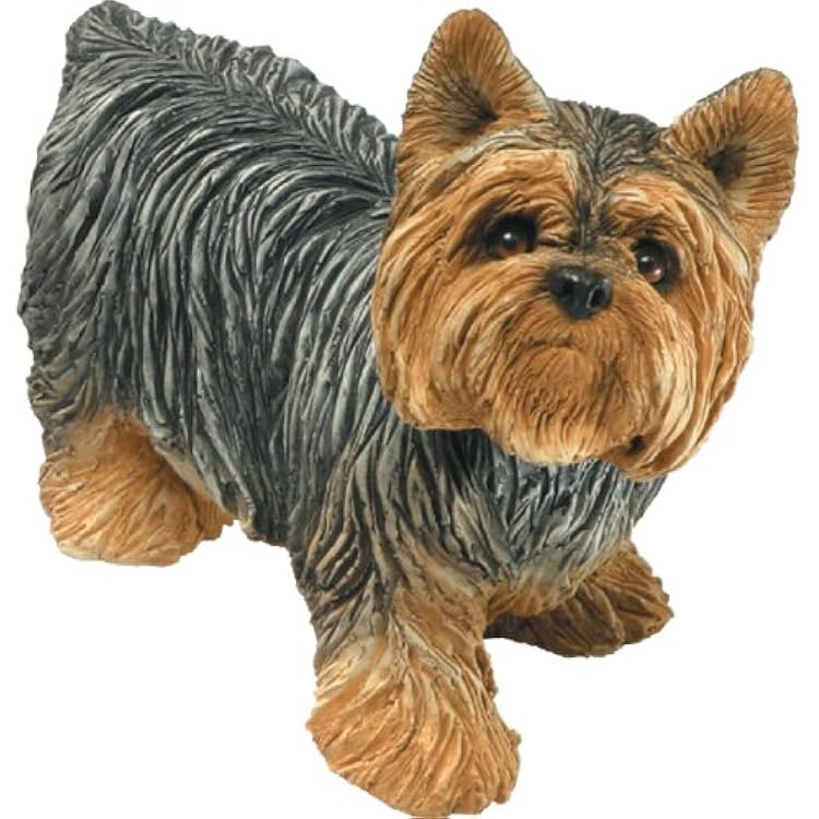 Sandicast Mid Size Yorkshire Terrier Sculpture - Standing