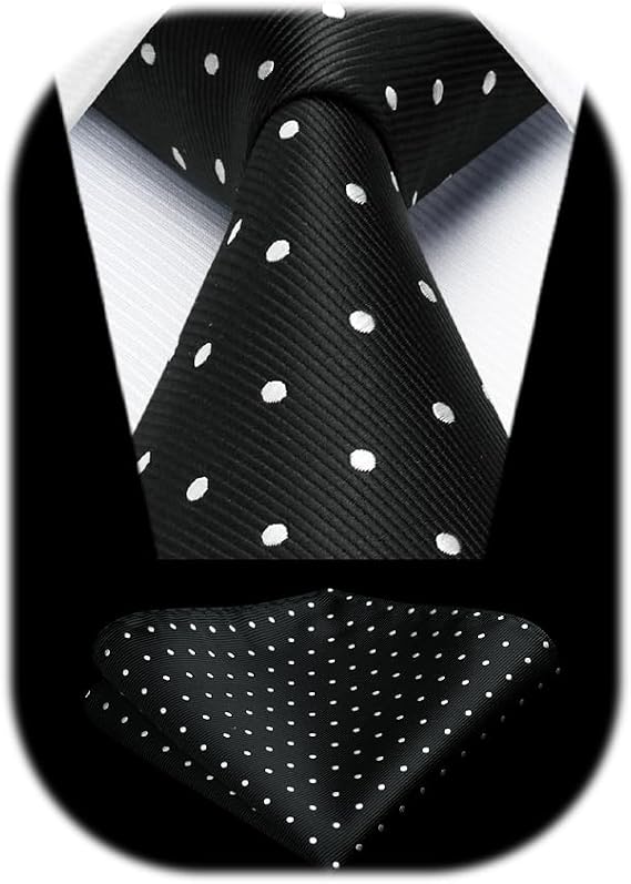 HISDERN Dot Ties for Men Wedding Tie Handkerchief Formal Business Necktie & Pocket Square Set
