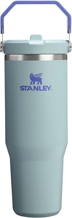 STANLEY IceFlow 2.0 Flip Straw Tumbler, 30 oz, Blue Catus