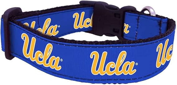 NCAA UCLA Bruins Dog Collar (Team Color, Medium)