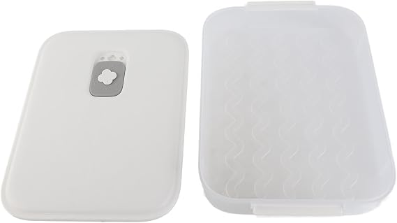 Dumpling Storage Box, Dumpling Wonton Box, Food Storage Container with Lid for Fridge Freezer