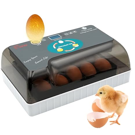 MasXirch 12 Eggs Automatic Incubator, Digital Poultry Hatcher with Auto Egg Turning & Temperature Control for Chicken Duck Quail Bird Egg
