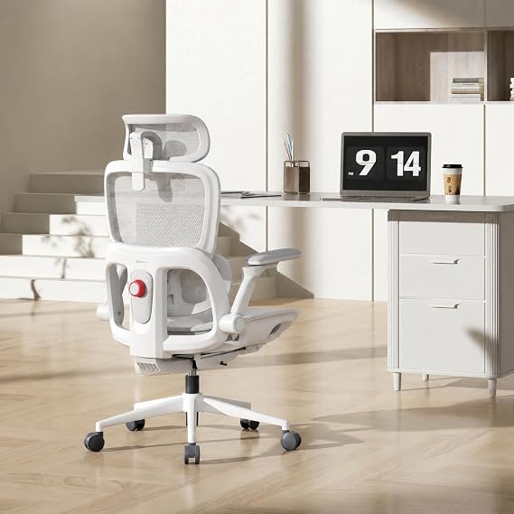 SIHOO Ergonomic Office Chair Adjustable Lumbar Support Desk Chair