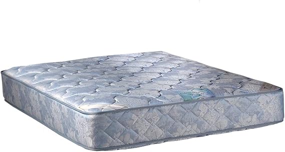 Dream Solutions USA Dream Sleep Chiro Premier 2-Sided Orthopedic (Blue) Queen Mattress Only with Mattress Protector Included - Spine Support, Fully Assembled, Innerspring coils, Long Lasting