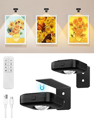 Picture Lights for Wall,Rechargeable Battery Operated Wall Lights with Remote,Wireless Magnetic Painting Lights with 3 Temps,Art Display Light with Dimming Timer