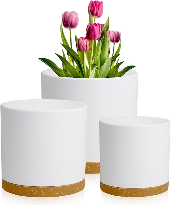 Meowell 10/8/6 inch Deep Plant Pots, 3 Pack Cylindrical Large Flower Pots for Outdoor Indoor Plants, Tall Plastic Planters with Drainage Holes and Saucers for Garden House Plants, White with Brown