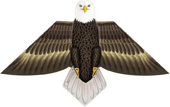 X-Kites Birds of Feather - 54 inch Eagle Kite