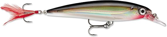 Rapala X-Rap Jerkbait XR10 Fishing Lure