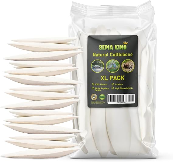 Sepia King - Large - Cuttlebone for Birds, Tortoises, Snails, Reptiles 5.5-7" - 8.8oz - 100% Natural Calcium Supplement, Food and Toys for Parakeets, Turtles