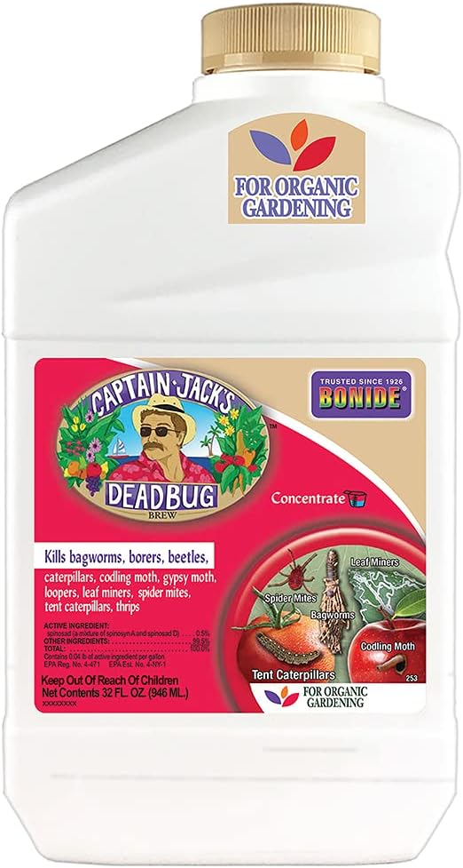 Captain Jack's Dead Bug Brew, Concentrate, Quart